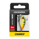 Mini Crank [MC 035 F2] Charly